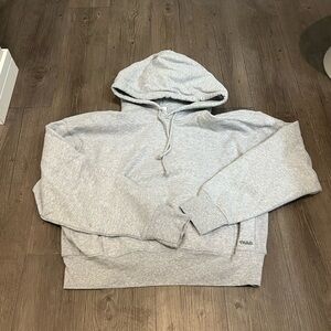 Aritzia TNA Boyfriend Boxy Hoodie